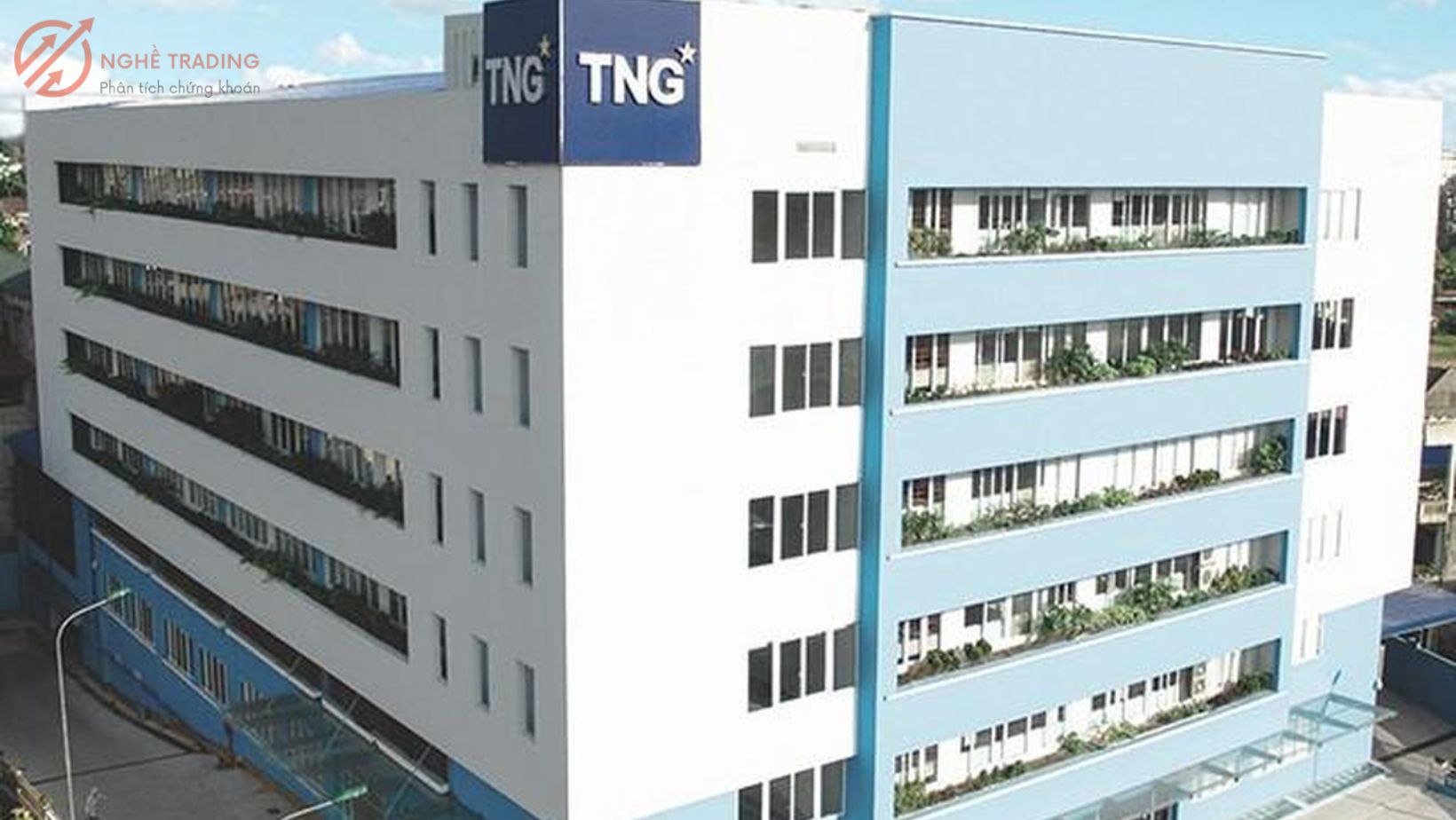 TNG) CTCP Đầu tư và Thương mại TNG chi trả cổ tức năm 2022 bằng cổ phiếu tỷ  lệ 8% - Phân Tích Chứng Khoán