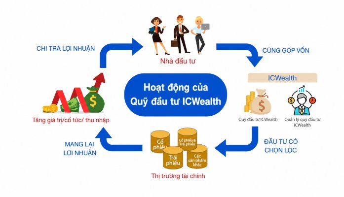 Cách hoạt động và tiêu chí lựa chọn quỹ đầu tư uy tín