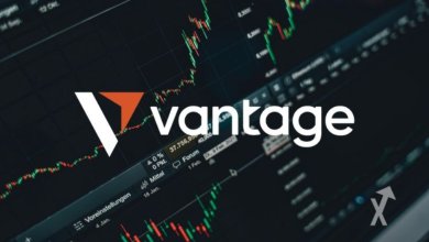 Vì sao giá cổ phiếu biến động? Cơ hội từ giao dịch cổ phiếu và CFD cổ phiếu